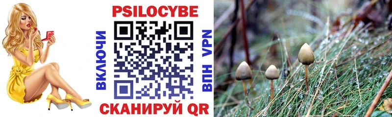 Галлюциногенные грибы Psilocybe  Краснодар 