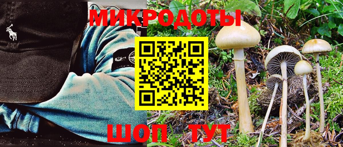 Галлюциногенные грибы мицелий  Вход с VPN  Псилоцибиновые грибы мицелий  Краснодар 